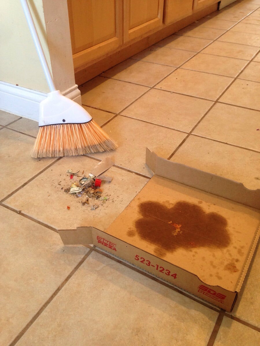 dustpan pizza box